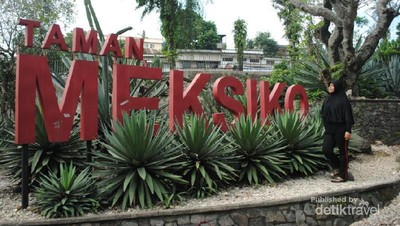 Jelajah Hijaunya Kebun Raya Bogor