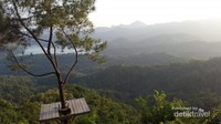 Pemandangan cantik hamparan hutan dan Waduk Sermo