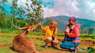 Kampung Cai Ranca Upas, Wisata Ramah Anak di Ciwidey