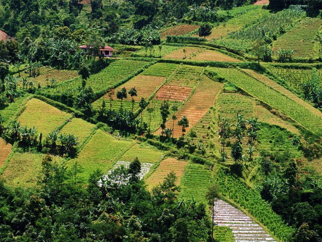 Karanganyar, Sejauh Mata Memandang