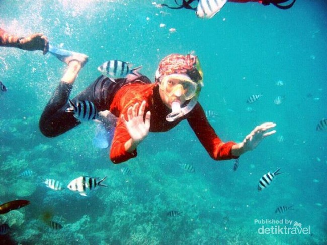 Karimunjawa, Surga di Utara Jawa