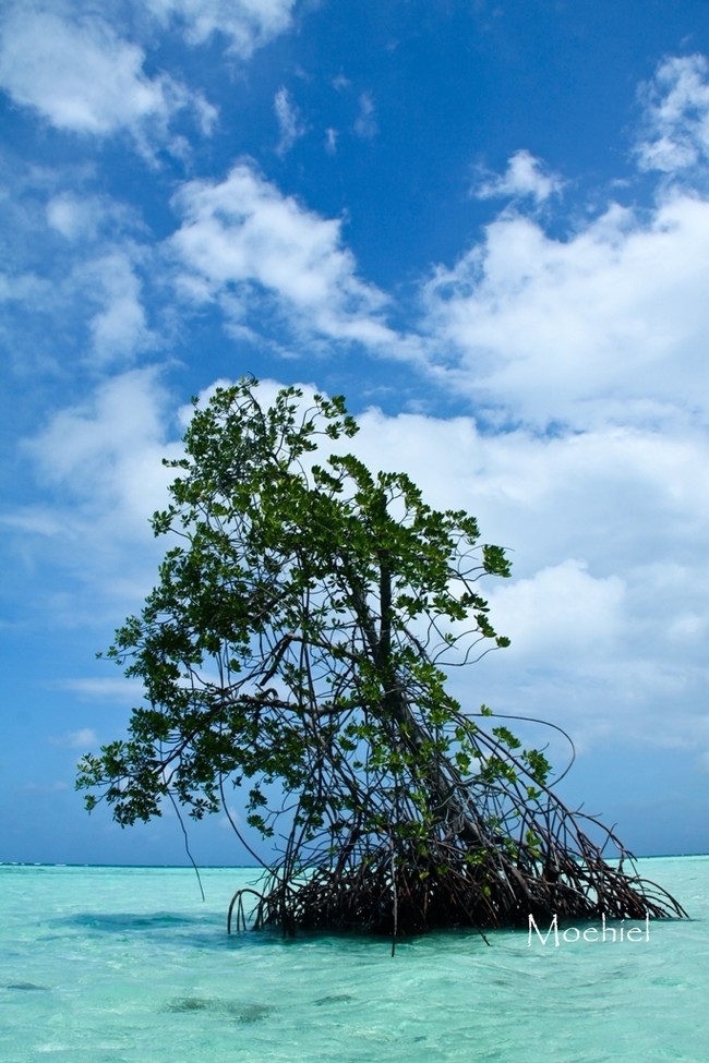 Karimunjawa