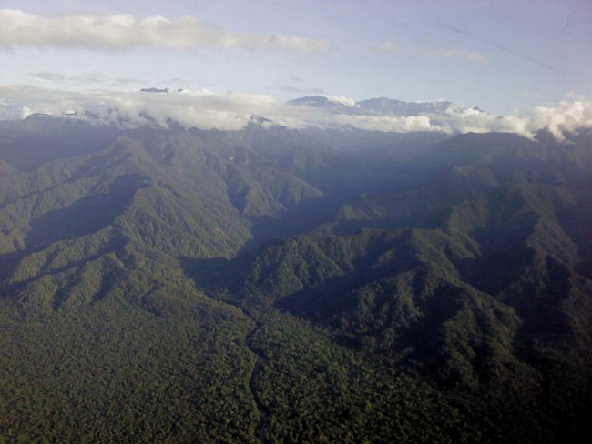 Karpet Hijau dari Bumi Cendrawasih
