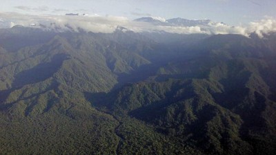 Karpet Hijau dari Bumi Cendrawasih