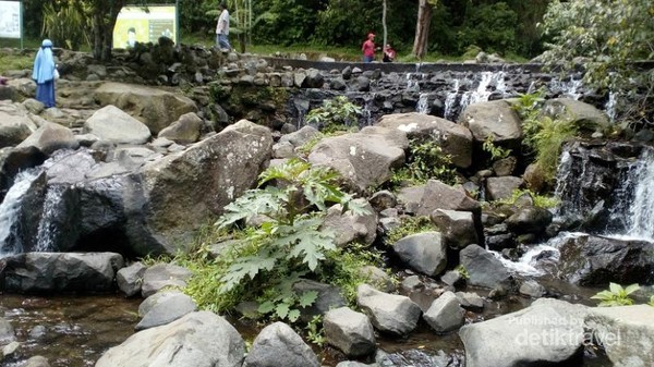 Kebun Raya Cibodas Adalah  Destinasi  Wisata  Ramah Anak