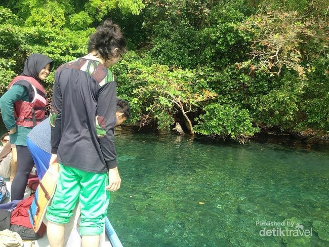 Keindahan Alam Bawah Laut Lagoon Cabe di Sekitar Krakatau