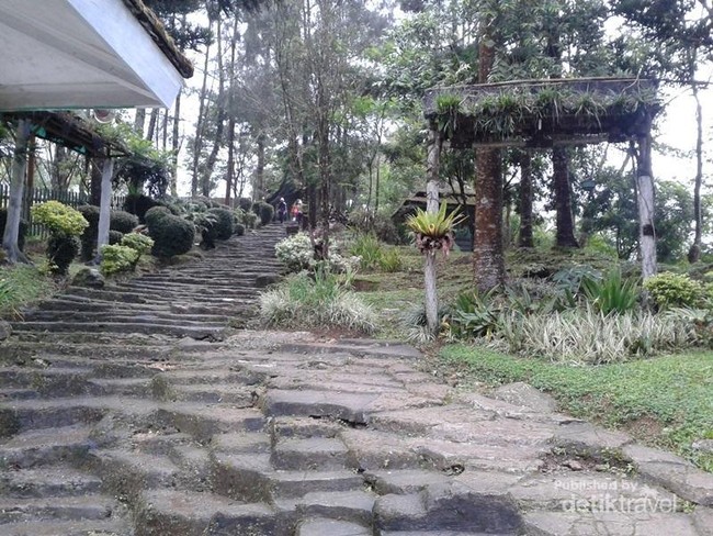 Kemah Akhir Pekan di Kaki Gunung Gede