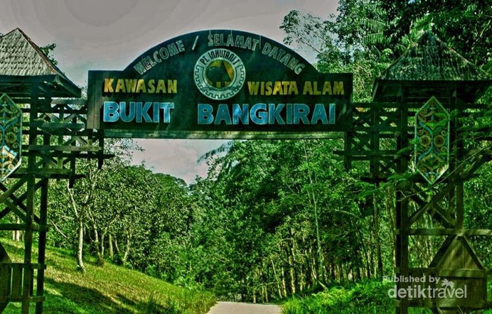 Kembali ke Alam Ala Bukit Bangkirai di Balikpapan