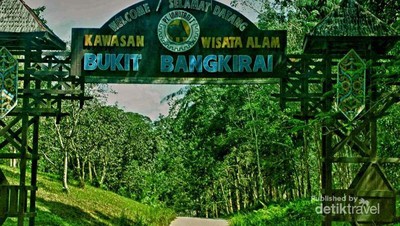 Kembali ke Alam Ala Bukit Bangkirai di Balikpapan