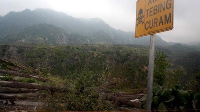 Kembalinya Keeksotisan Gunung Merapi