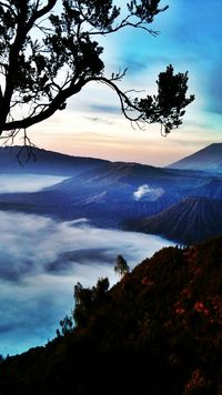 Kemegahan Gunung Bromo Dengan Sejuta Pesonanya