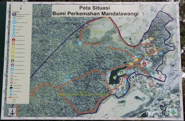 Kemping Asyik di Bumi Perkemahan Mandalawangi Cibodas