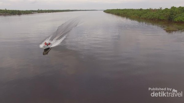 Kenal Primata Lebih Dekat di Kapuas