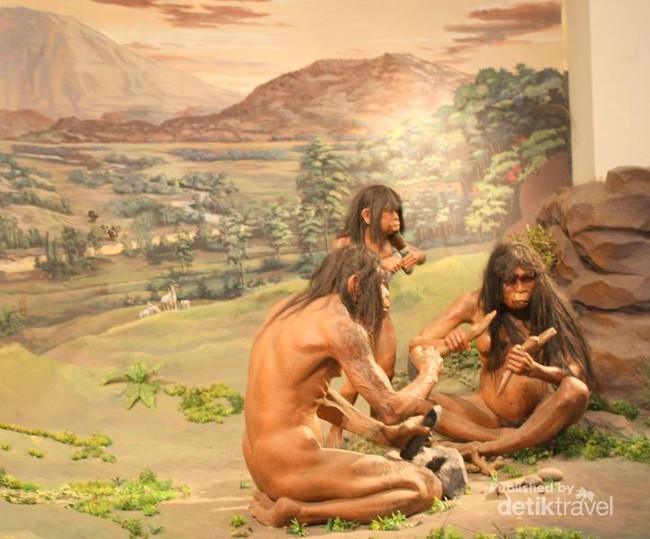 Kerangka Manusia Purba di Museum Nasional, Jakarta