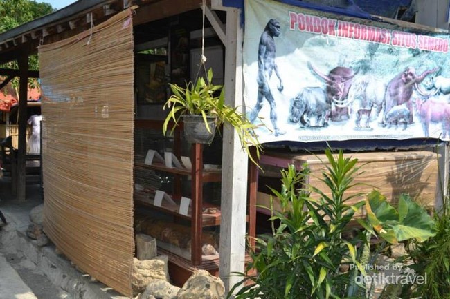 Keren! Ada Situs Manusia Purba di Tegal