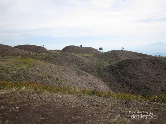 Ketika Kemarau Menyapa Bukit Teletubbies di Gunung Prau