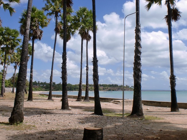 Kupang, Satu Lagi Destinasi Eksotis di Indonesia