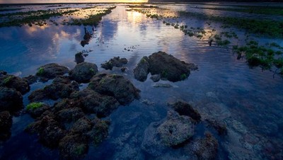 Landscape Bali