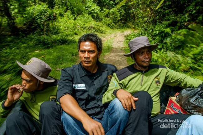 Lanskap Hijau Menyegarkan Mata di Mane, Aceh