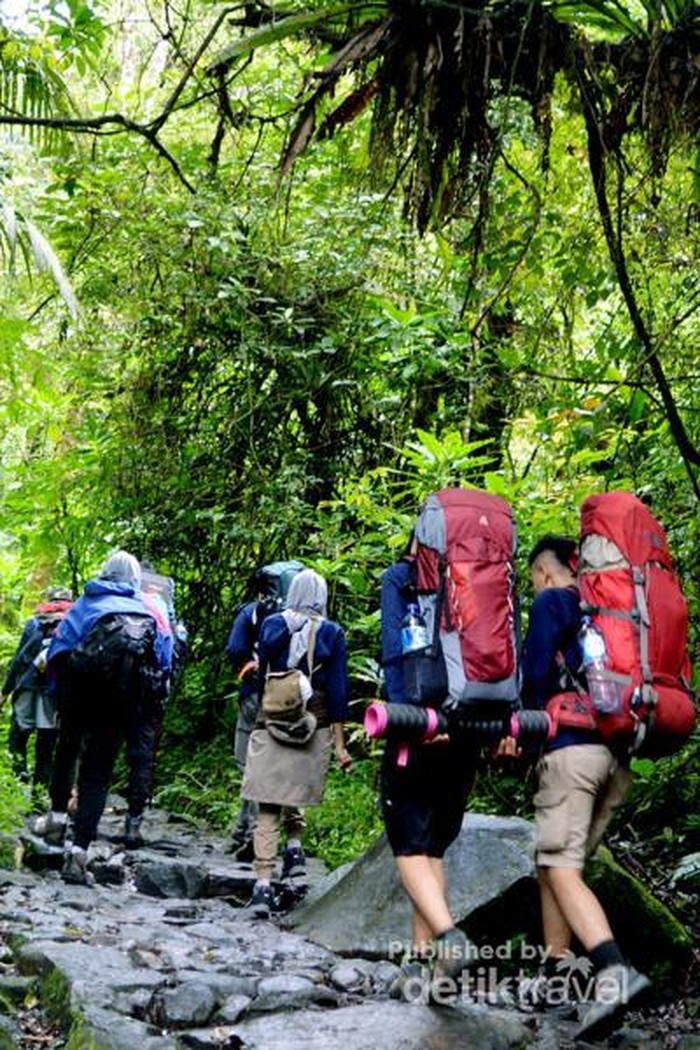 Libur Akhir Pekan, Asyiknya Hiking ke Lembah Suryakencana