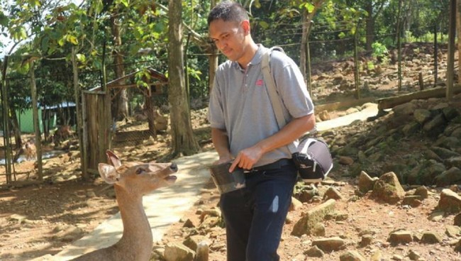 Libur Akhir Pekan: Ayo Main Bareng Rusa di Kotabaru, Kalsel