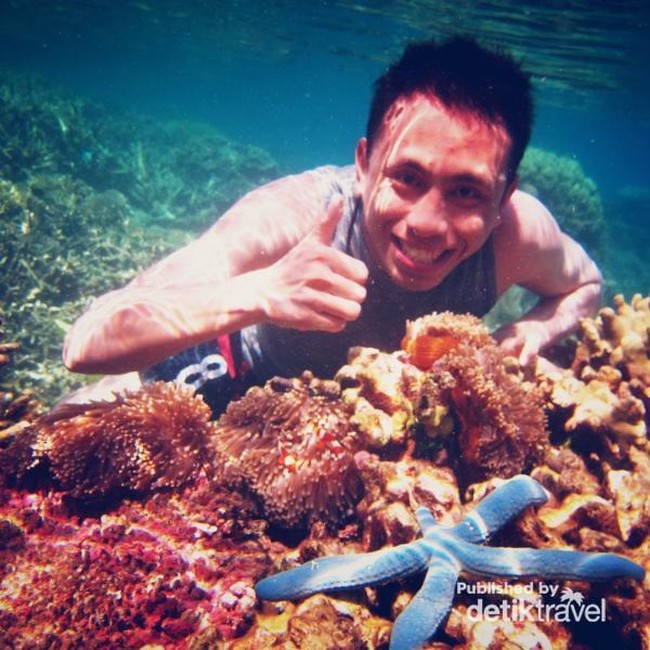 Libur Panjang di Karimunjawa? Jangan Lupa Snorkeling