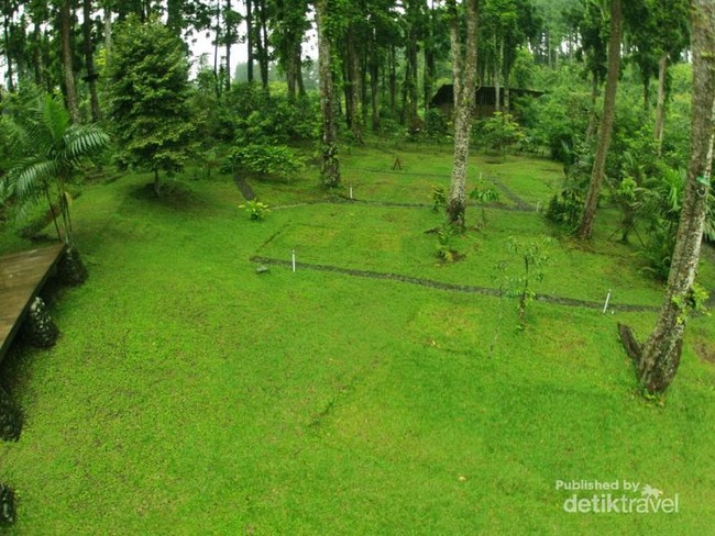 Libur Panjang Nan Seru di Baturraden Adventure Forest