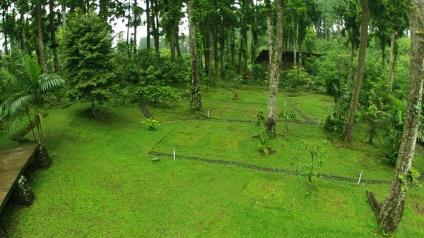 Libur Panjang Nan Seru di Baturraden Adventure Forest