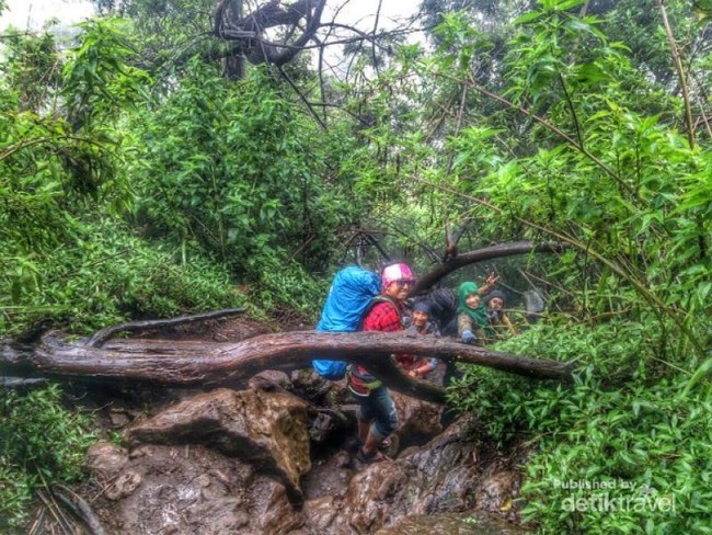 Liburan Kali Ini, Mendaki Gunung Ungaran