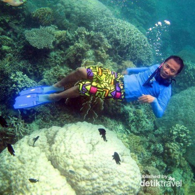 Liburan ke Karimunjawa dan Kawah Ijen