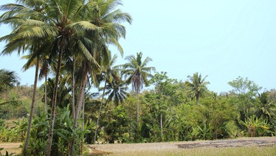 Liburan Penuh Warna di Pantai Sawarna