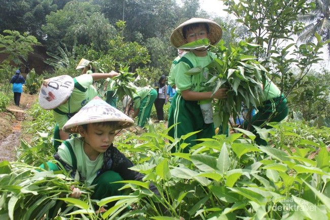 Liburan Sambil Belajar di Cibalung Happy Land, Bogor