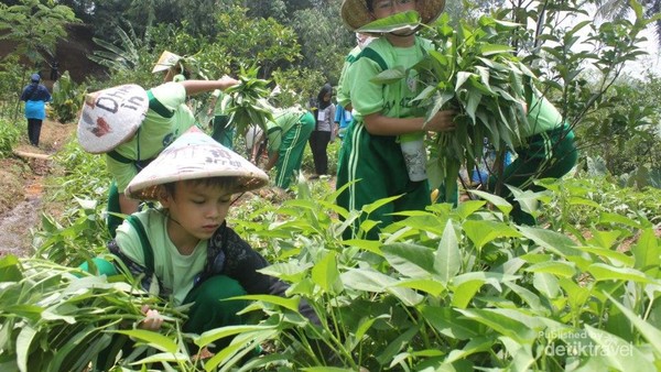 Liburan Sambil Belajar di Cibalung Happy Land, Bogor