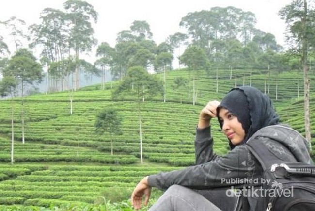 Long Weekend Melepas Penat di Kebun Teh Pagilaran