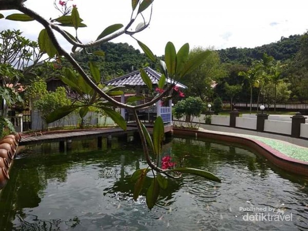 Indahnya kolam dengan dahan bunga kamboja bergelayut di atasnya.