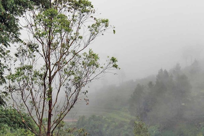 Malino, Puncak Pass Ala Sulsel