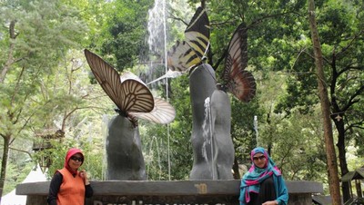 Masuk ke Kerajaan Kupu-kupu