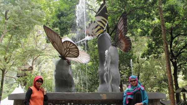 Masuk ke Kerajaan Kupu-kupu