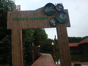 Mau Trekking di Mangrove Grand Maerokoco Semarang, Masuk Pak Eko!