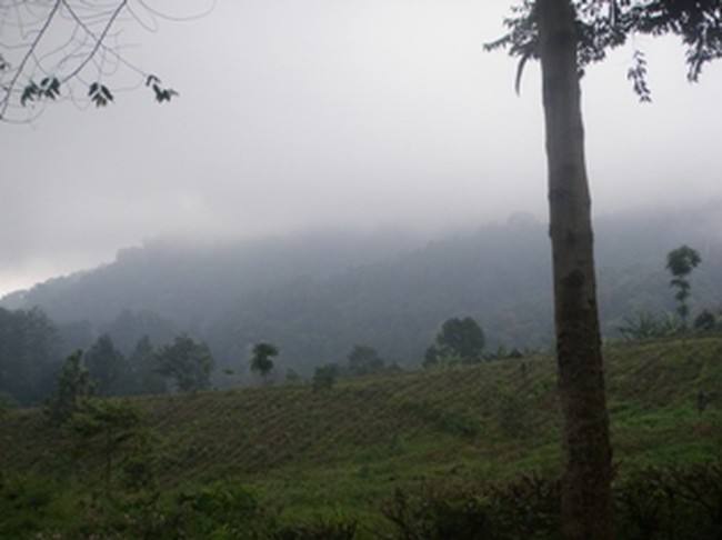 Meeting Sambil Outbound di Gunung Ungaran