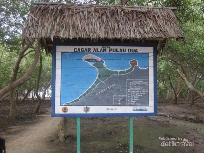 Melihat Aksi Burung Liar di Cagar Alam Pulau Dua, Serang