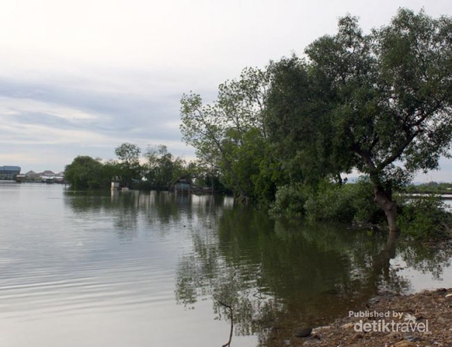 Melihat Aktivitas Nelayan di Muara Sungai Cunda, Aceh