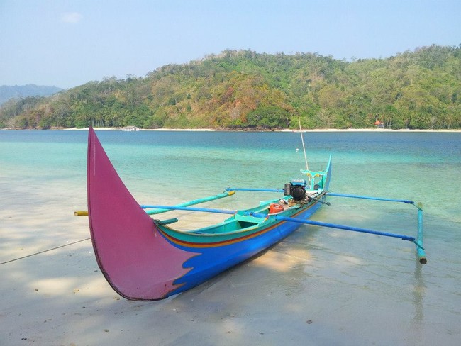 Melihat Kawanan Lumba-lumba Hidung Botol di Teluk Kiluan