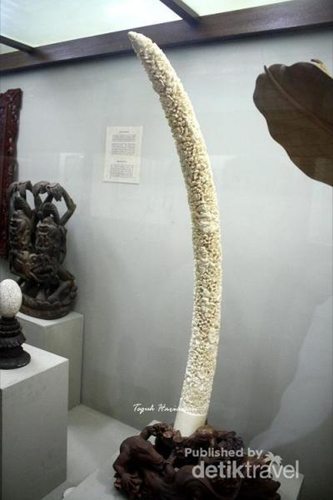 Melihat Koleksi Barang Langka di Museum Bali