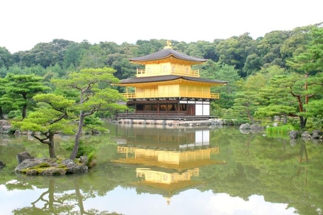 Melihat Pohon Berdaun Pink di Jepang