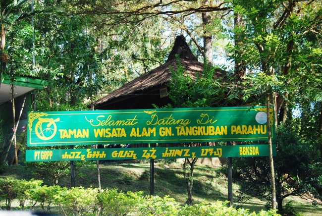 Melihat Tangkuban Perahu Lebih Dekat dari Kawah Domas