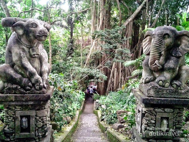 Melihat Tingkah Lucu Monyet di Ubud Monkey Forest