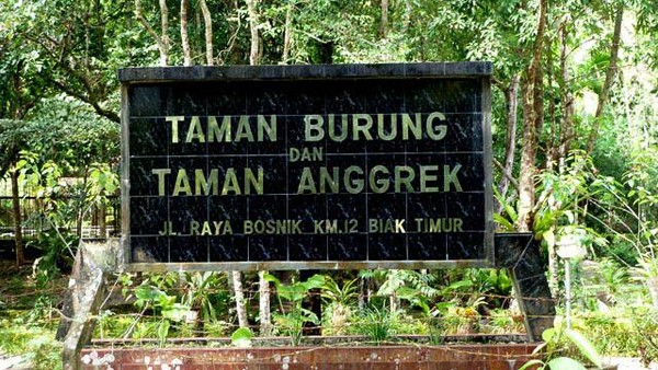 Melongok Teman Bersayap dari Papua