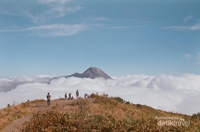 Memukaunya Gunung Merbabu Via Jalur Selo