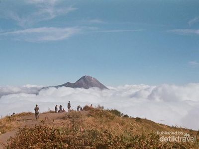 Memukaunya Gunung Merbabu Via Jalur  Selo